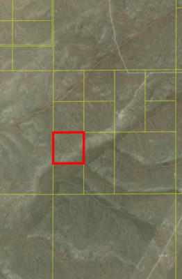 T31N,R49E SEC. 27 NW4SW4 PARCEL, CRESCENT VALLEY, NV 89821, photo 3 of 5