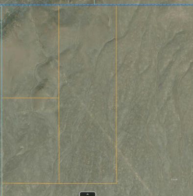 0 T29N,R49E SEC. 5 LOTS 3,6 & 11 LEGAL, CRESCENT VALLEY, NV 89821 - Image 1